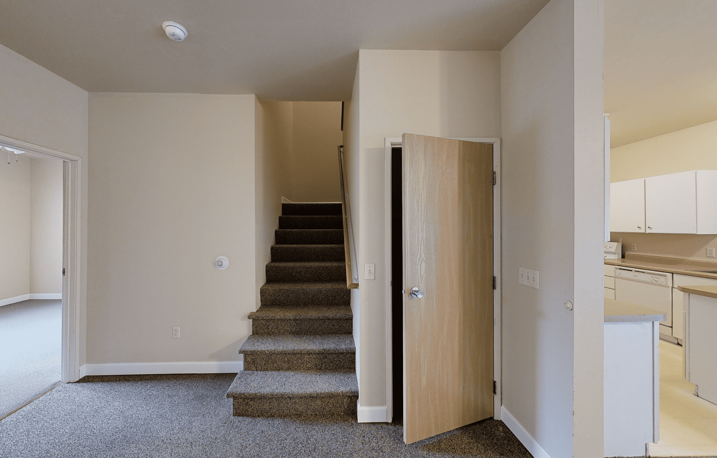 Gallery Photo 16
